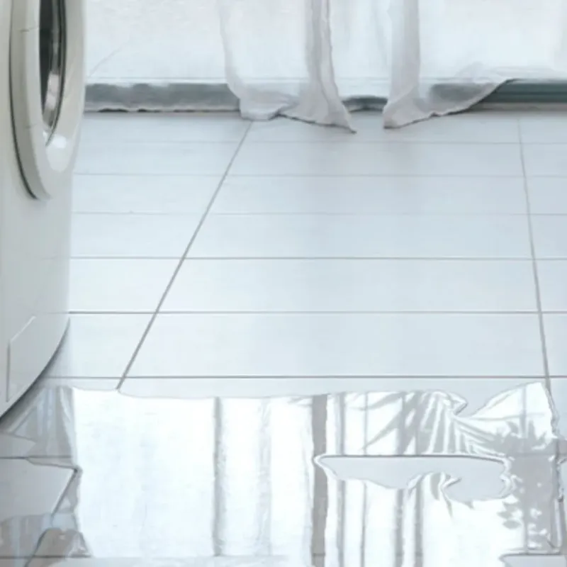 Appliance Leak Cleanup in Lincoln, CA