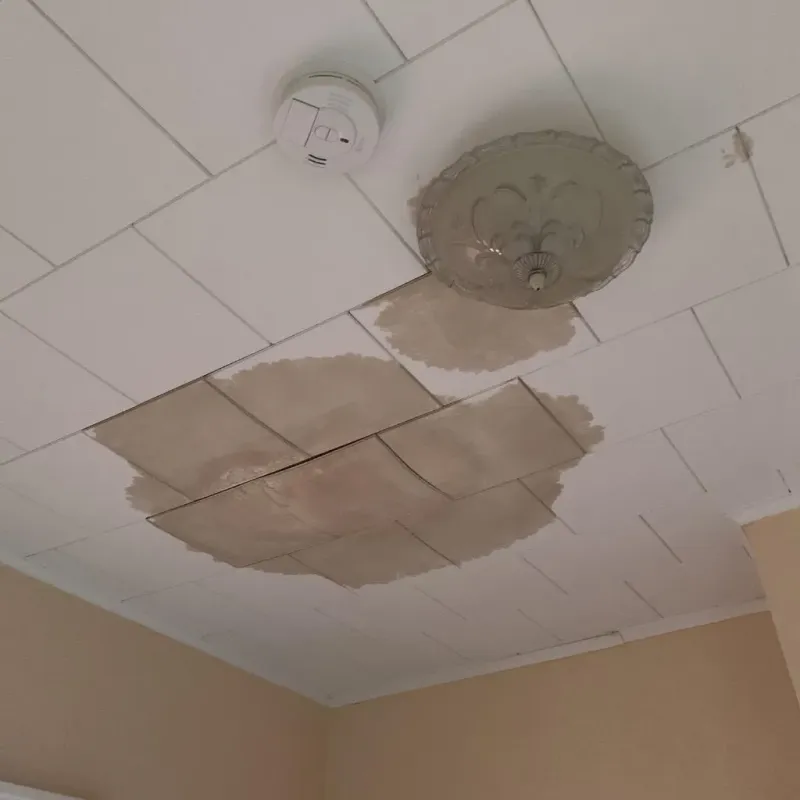 Ceiling Water Damage Repair in Lincoln, CA