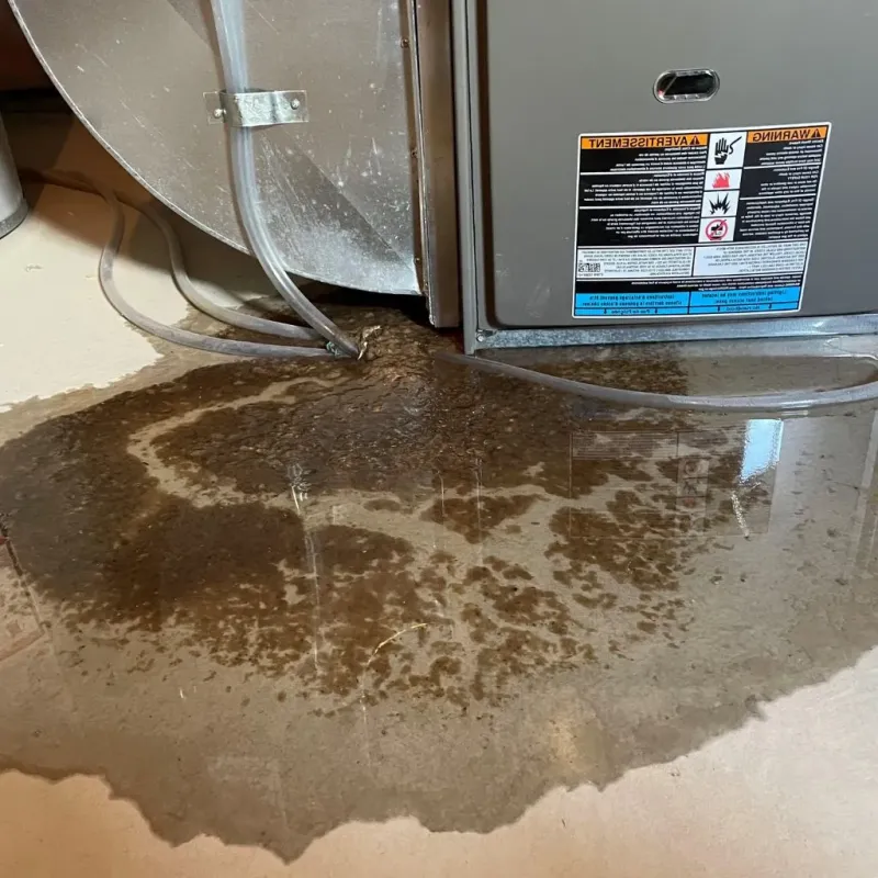 Pipe Burst and Leak Restoration in Lincoln, CA