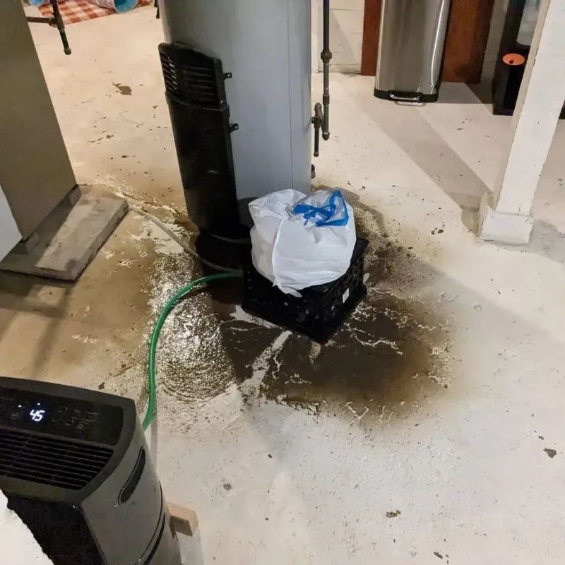 Sewage Backup Cleanup Service in Lincoln, CA